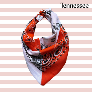 Custom Bandana Scarf (made to order)