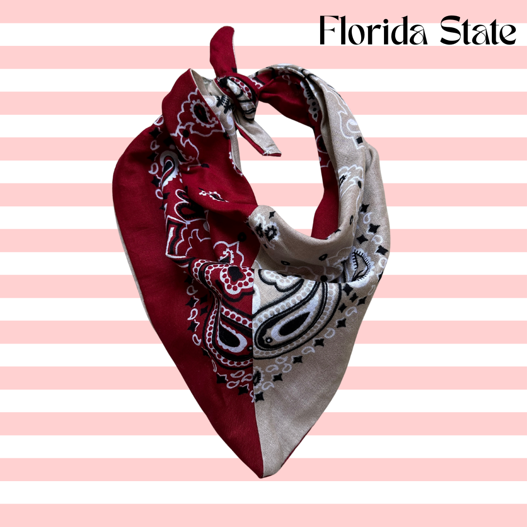 Custom Bandana Scarf (made to order)