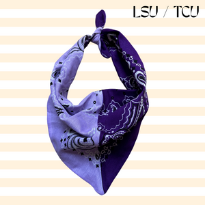 Custom Bandana Scarf (made to order)